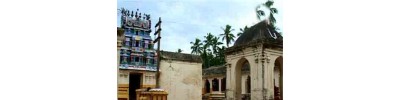 24. திருச்சிறுபுலியூர்